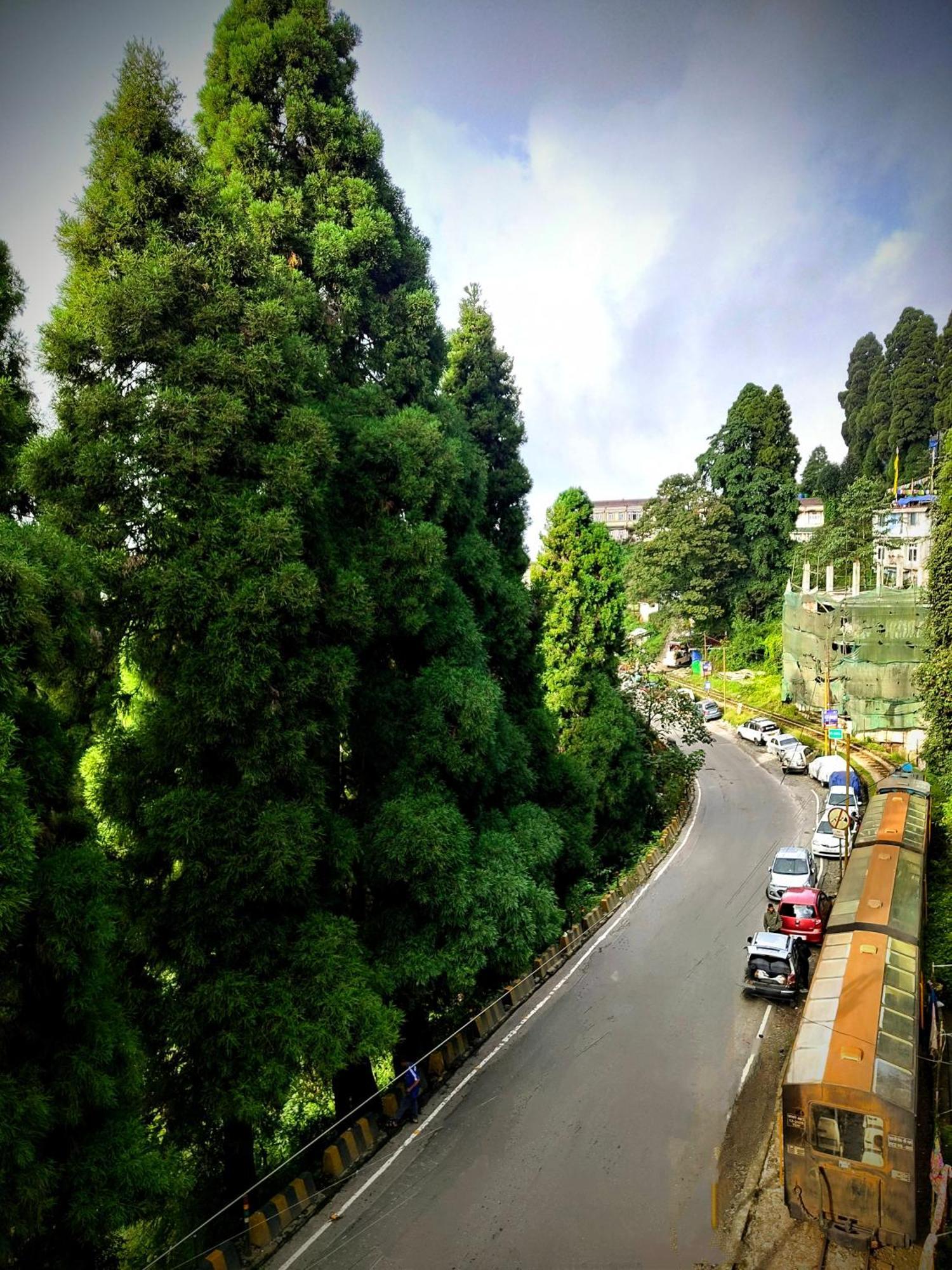 Hidden Monkey Backpackers Darjeeling, Batasia دارجيلنغ المظهر الخارجي الصورة